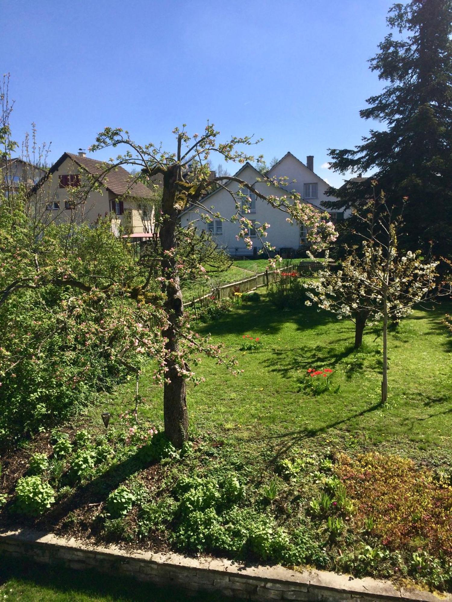 Guntli'S Family Guesthouse Andelfingen Eksteriør bilde