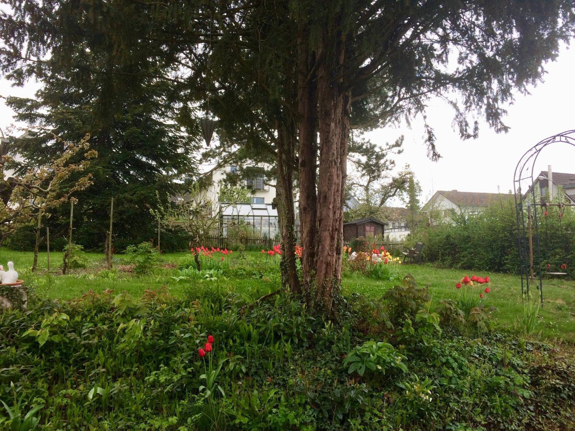 Guntli'S Family Guesthouse Andelfingen Eksteriør bilde